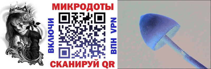 цена Хотьково Псилоцибиновые грибы ЛСД